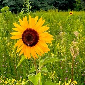 Meet your Posher, Kimmberly